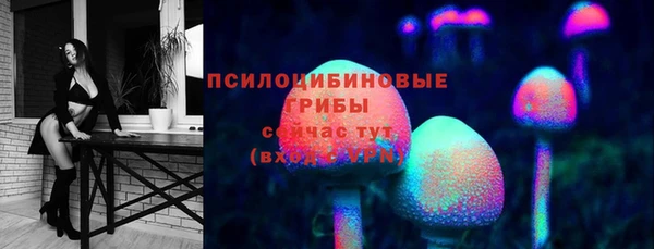 spice Лабытнанги